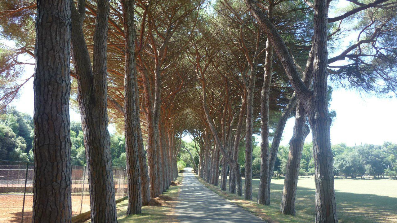 Юрий Юша | Ростов-на-Дону