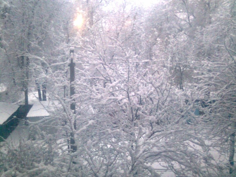 Александр Лысенко San`chelo | Запорожье