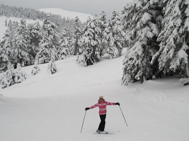 Маргарита Спивак | Ростов-на-Дону