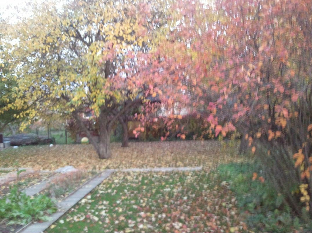 Ариша Плетнева Геннадьевна | Москва