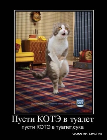 Дмитрий Ситников | Железногорск