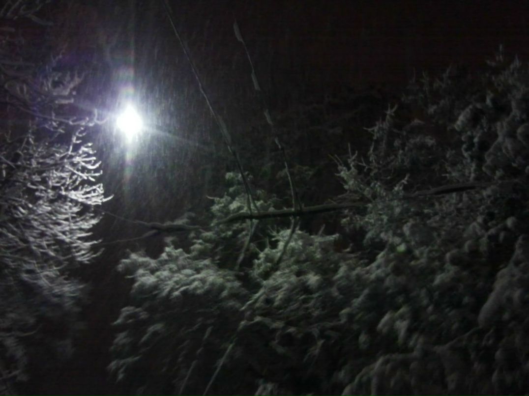 Никита Мединский | Симферополь