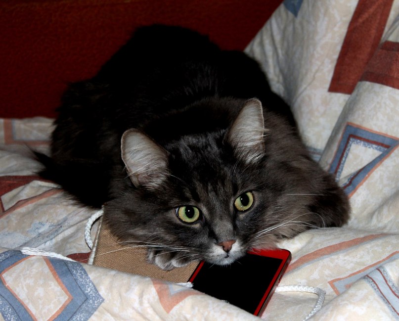 Ирина Варнавская | Москва