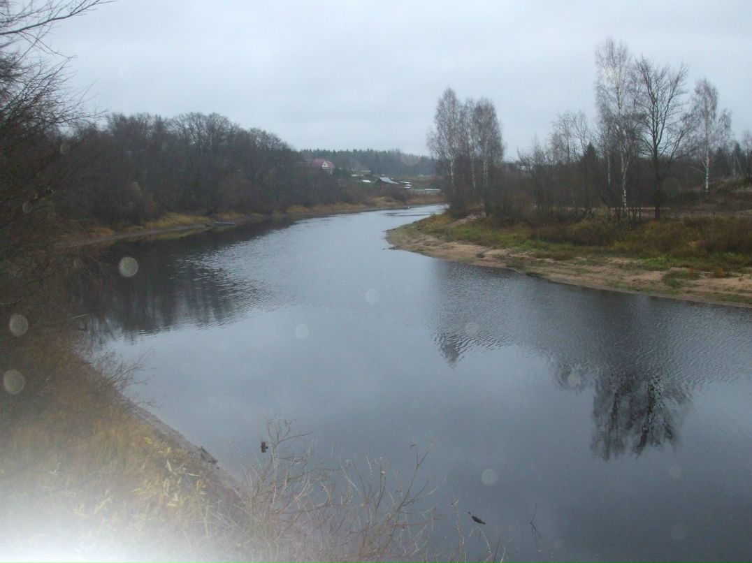 Михаил Андриенко | Санкт-Петербург