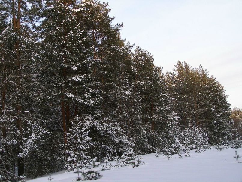 Алексей Друзин | Алатырь
