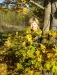 Светлана Лукина фотография #7