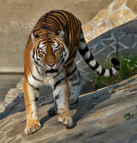 Надежда Диденко | Одесса