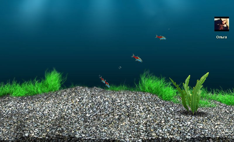 Семен Тарасов | Екатеринбург