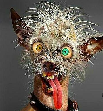 Anastasiya Podvolotskaya | 