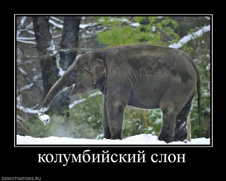 Колян Момчев | Одесса