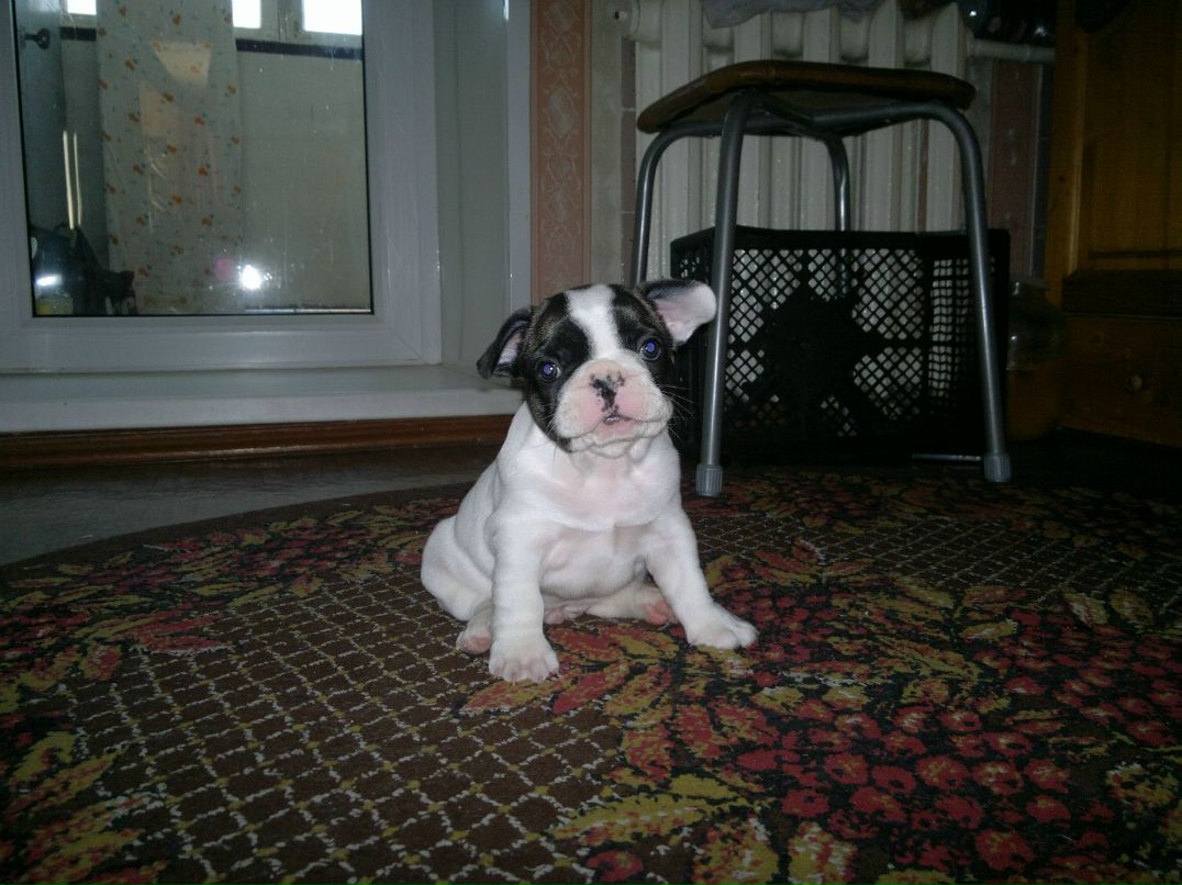 Лев Рогожников | Краснокамск