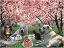 Фотография Андрей Кириллов