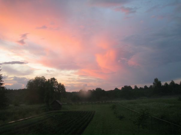 №13, Мария Соловьёва №13, Мария Соловьёва