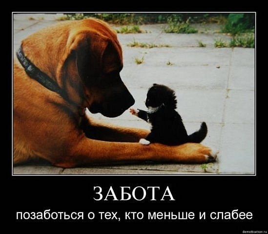 №113, Татьяна Годовикова, 35 лет, Москва №113, Татьяна Годовикова, 35 лет, Москва