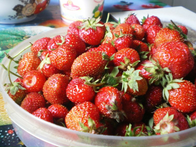 №95, Елена Цыганкова, 9.7.1966 №95, Елена Цыганкова, 9.7.1966