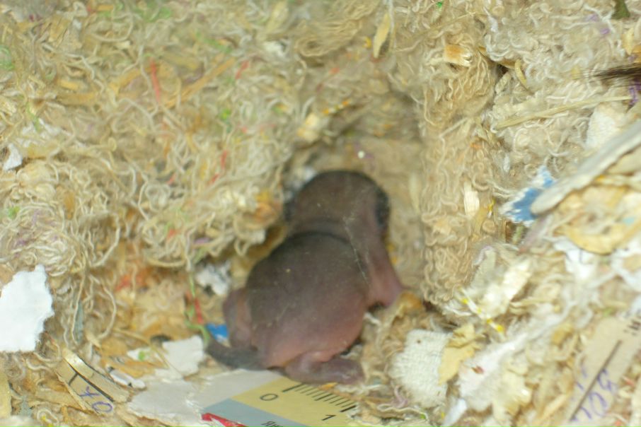 №72, Владимир Рода-Гембицких, 47 лет, Рига №72, Владимир Рода-Гембицких, 47 лет, Рига