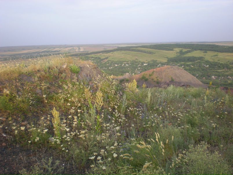 №53, Антонина Дворкина, Харьков №53, Антонина Дворкина, Харьков