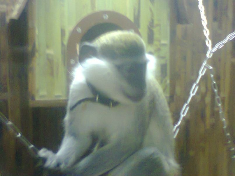 Анна Свищ ✿ܓBaRsY4kA✿ܓ | Харьков