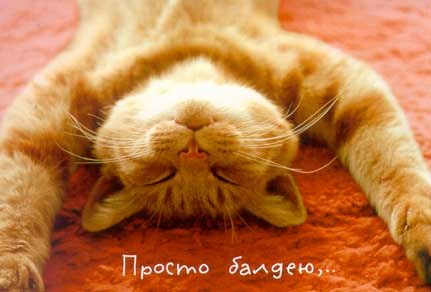 Алексей Андрейцев | Калуга