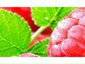 Елизавета Сладенькая LiZ4iK | Москва