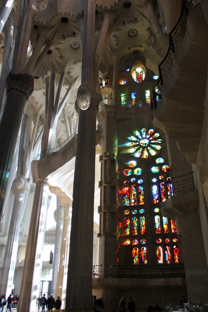 Екатерина Жижина | Саратов