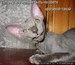 Юлия Мезенцева фотография #41 (источник - https://vk.com/id2708603)