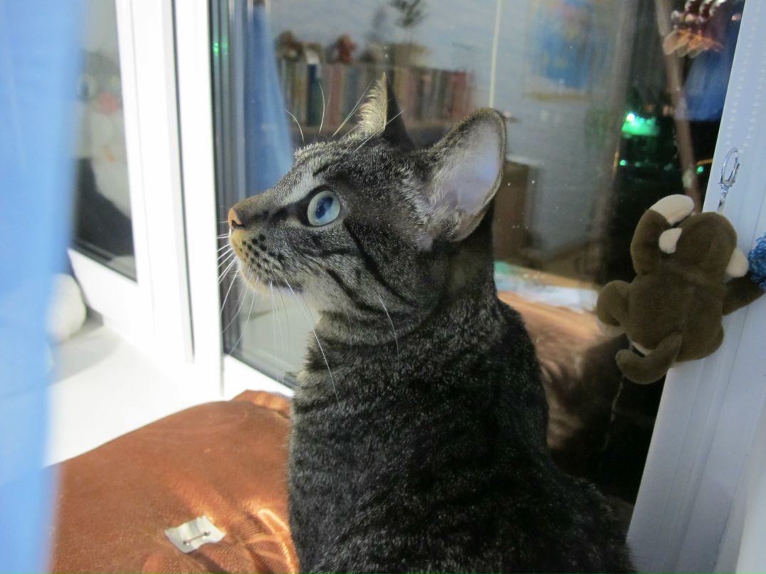 Владислава Лагун | Санкт-Петербург