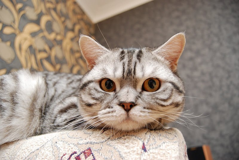 Павел Васильев | Запорожье