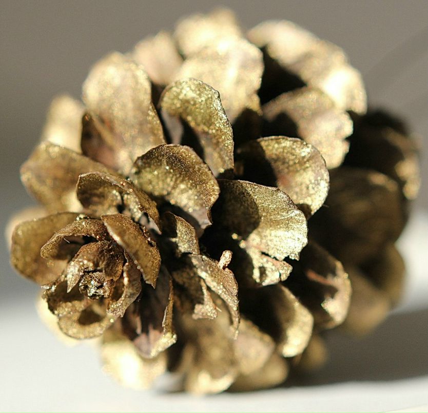 Alejandro Torres | Львов