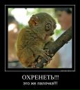 №13 Екатерина Ли : профиль, фото, статус - ВКонтакте