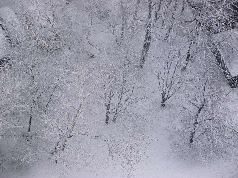 Виктор Демидов бог | Москва