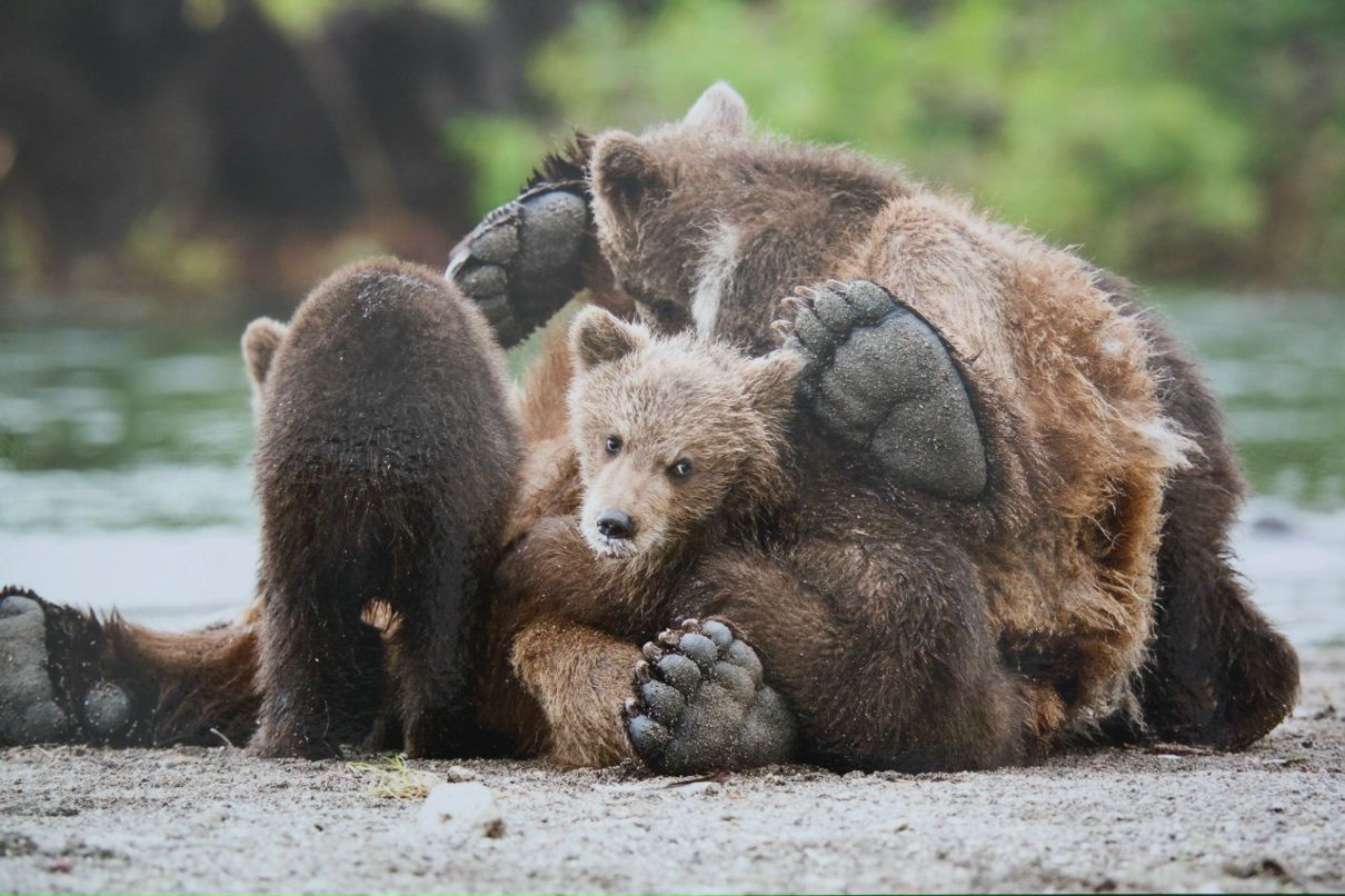 Ольга Лапшенкова | Москва