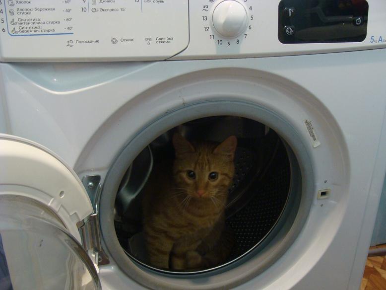 Сергей Егоров | Струги Красные