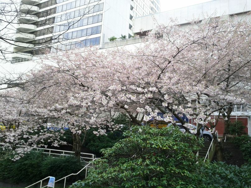 Наталья Петрова | Минск