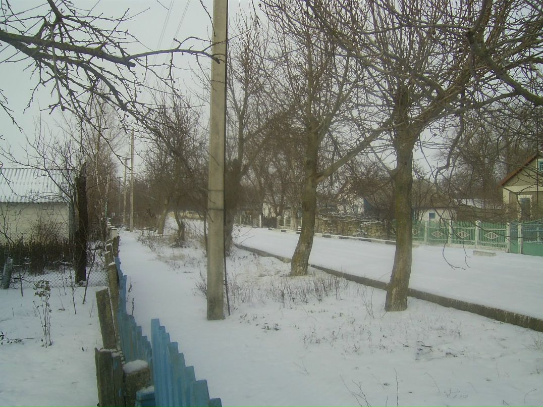 Александр Анисимов | Ялта