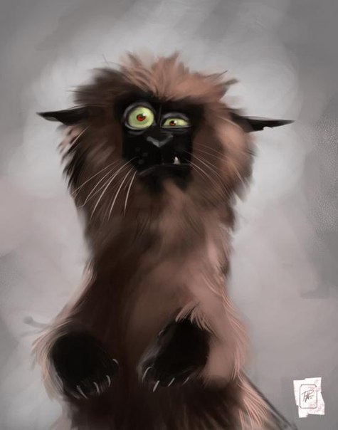 Федор Фатьянов | Санкт-Петербург