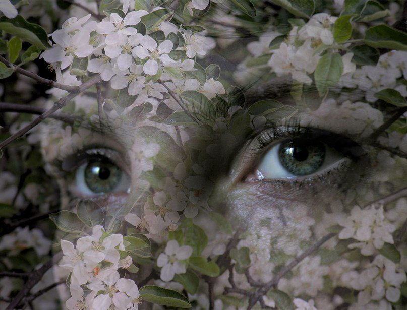 Светлана Гончарова | Калининград