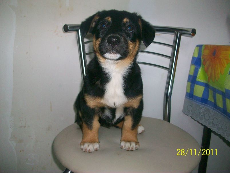 №86, Ангелина Морозова, Херсон №86, Ангелина Морозова, Херсон