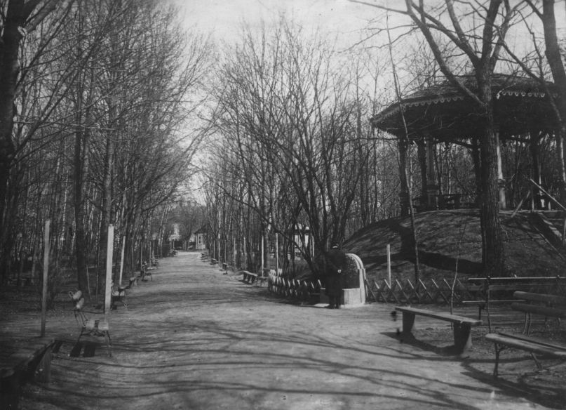 Елена Родионова | 