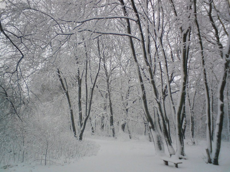 Ярослав Пилюгин | Москва