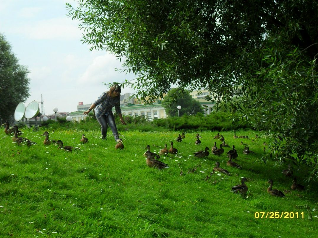 Анастасия Стома | Минск