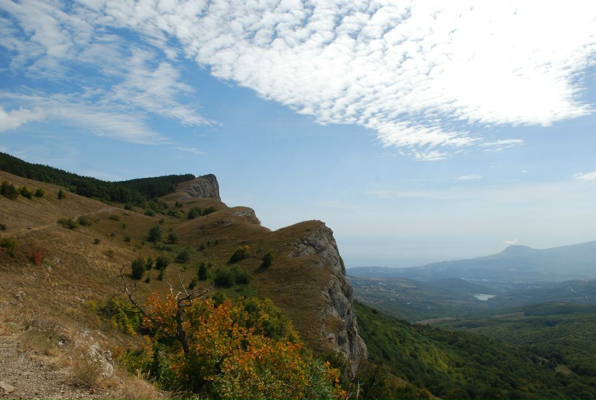 Дмитрий Наседкин | Киев