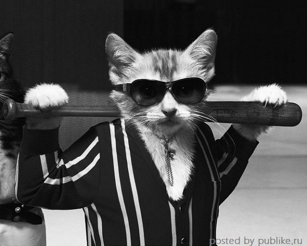 Кристина Лепаева | Стерлитамак