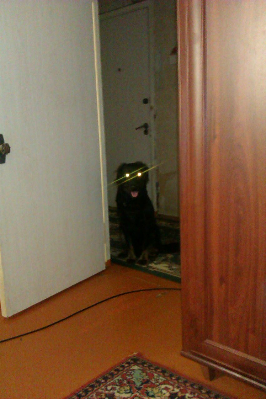 Руслан Мухтаров | Казань