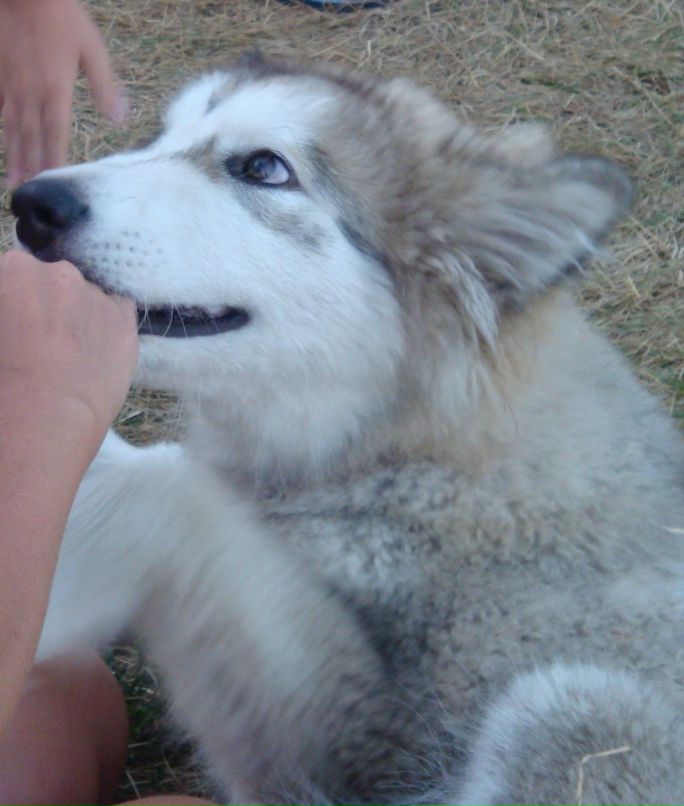 Алиса Митрошенкова | Москва