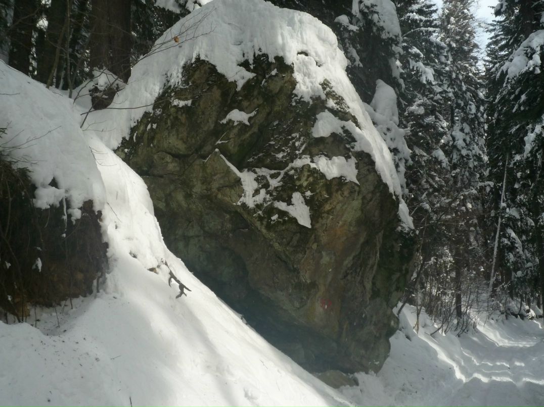 Елена Топчаева | Таганрог