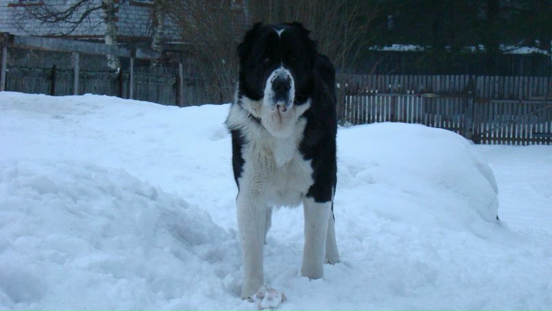 Анастасия Макарова | Санкт-Петербург