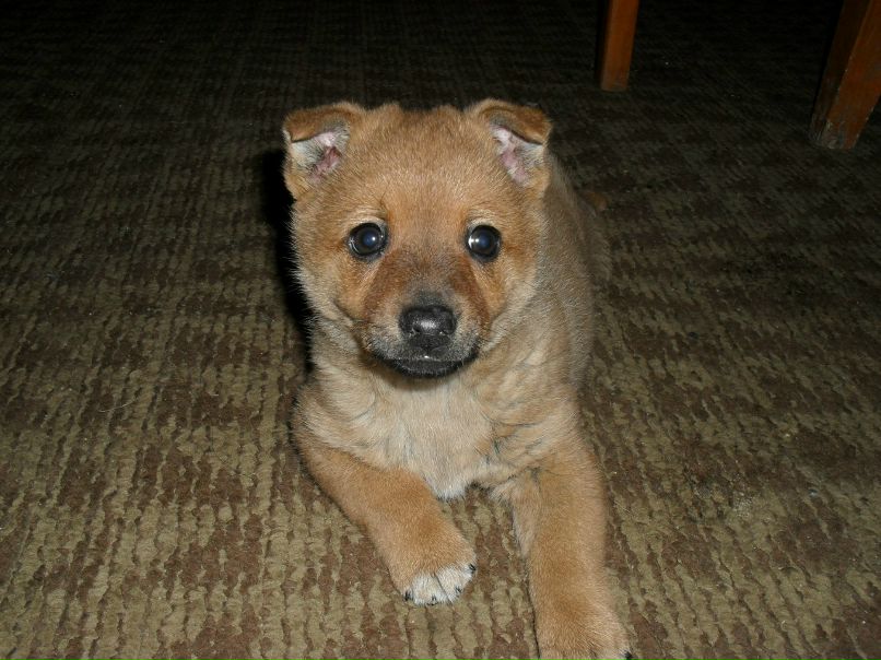 Татьяна Губенко | Краснодар