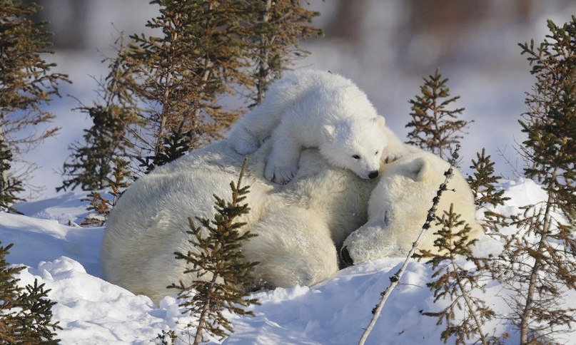 Александр Ермаков | Санкт-Петербург