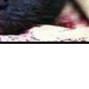 №24, ♥маргоритка♥ ♠голубева №24, ♥маргоритка♥ ♠голубева